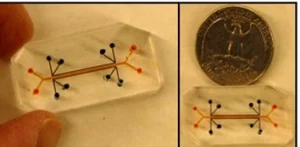 3D cell culture organ on chip