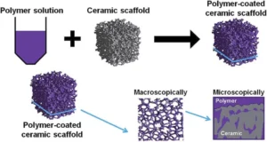 polymer coated ceramic 3D scaffold
