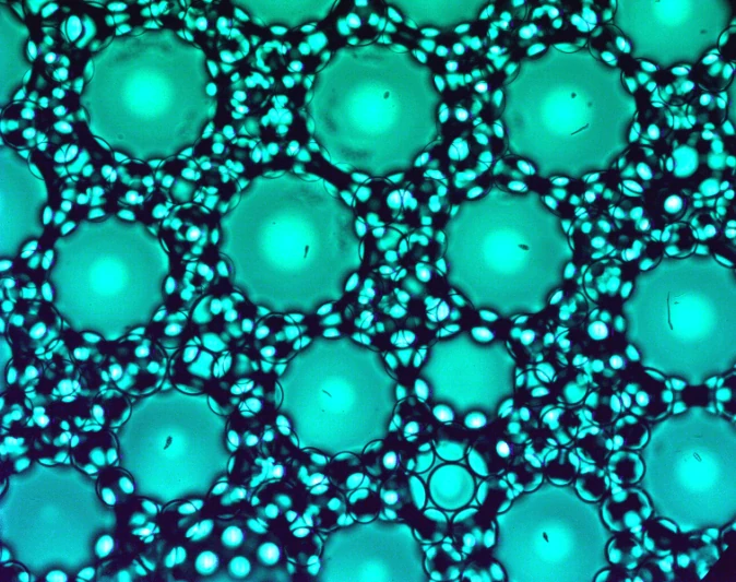 Martino Chiara- userDroplet & encapsulation